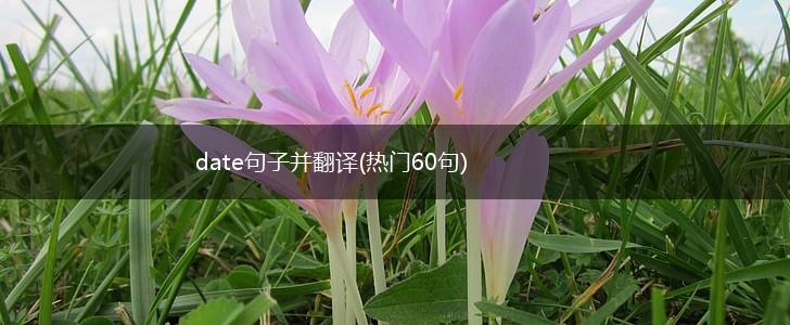 date句子并翻译(热门60句),第1张