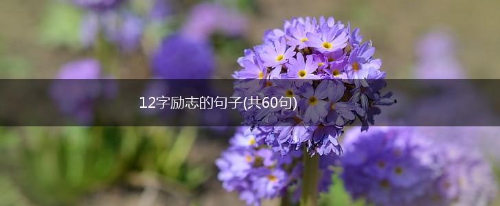 12字励志的句子(共60句),第1张