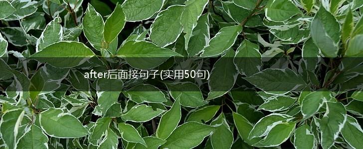 after后面接句子(实用50句),第1张