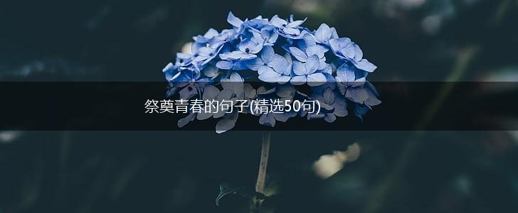 祭奠青春的句子(精选50句),第1张