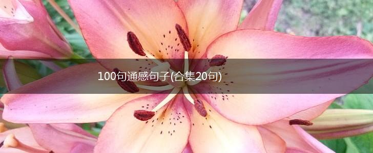 100句通感句子(合集20句),第1张