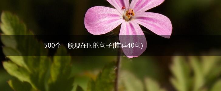 500个一般现在时的句子(推荐40句),第1张