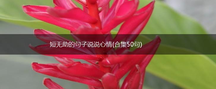 短无助的句子说说心情(合集50句),第1张