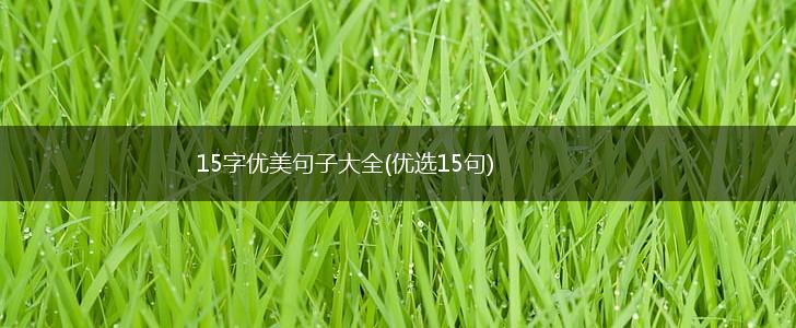 15字优美句子大全(优选15句),第1张