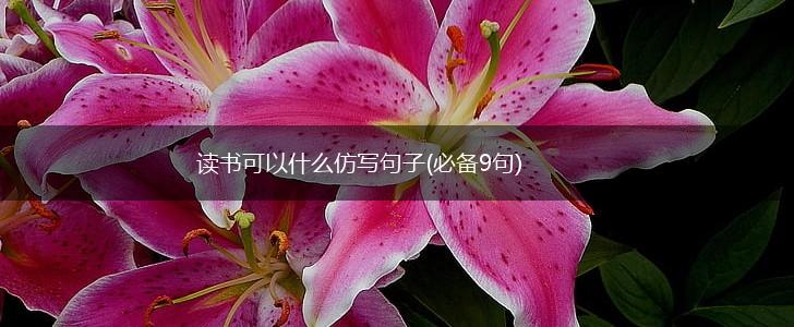 读书可以什么仿写句子(必备9句),第1张