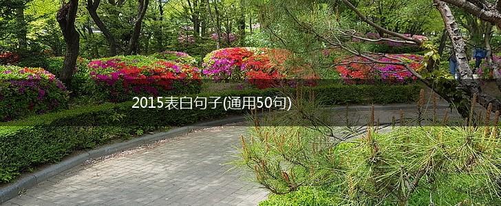 2015表白句子(通用50句),第1张