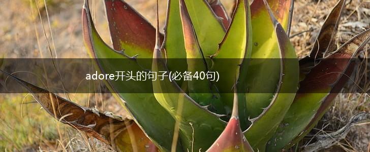 adore开头的句子(必备40句),第1张