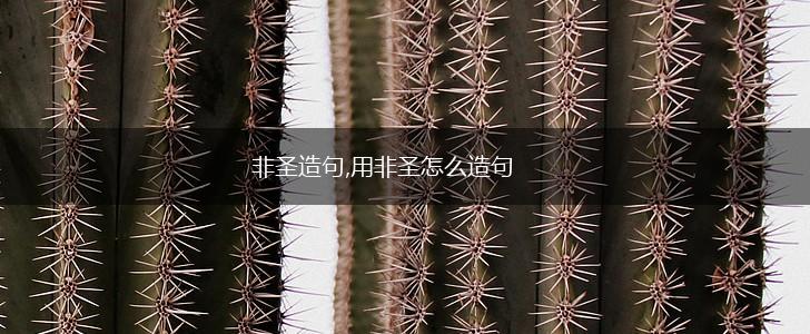 非圣造句,用非圣怎么造句,第1张
