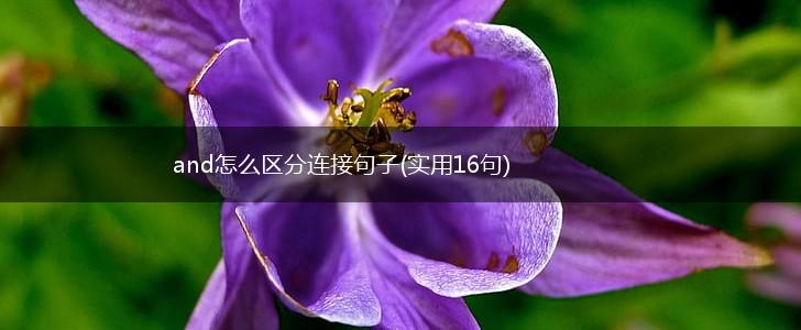 and怎么区分连接句子(实用16句),第1张