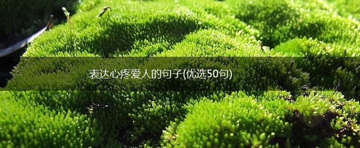 表达心疼爱人的句子(优选50句),第1张