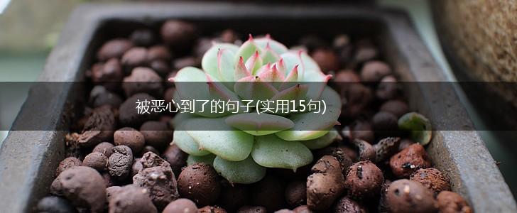 被恶心到了的句子(实用15句),第1张