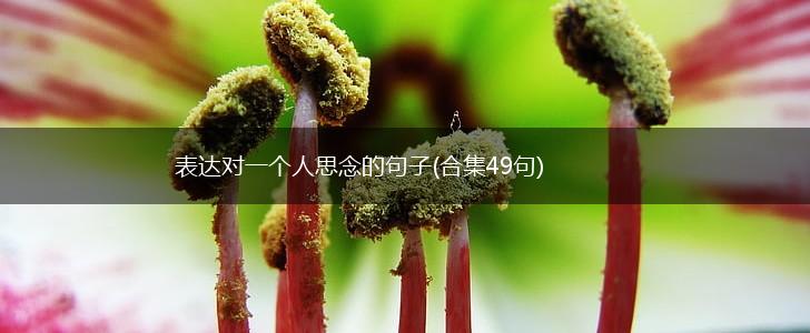 表达对一个人思念的句子(合集49句),第1张