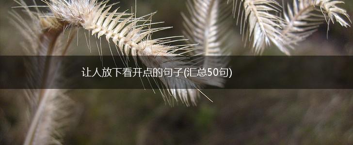 让人放下看开点的句子(汇总50句),第1张