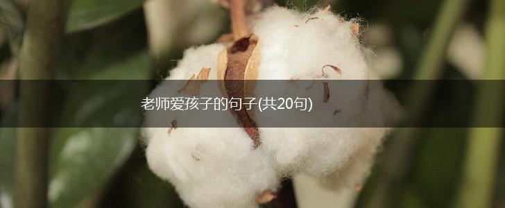 老师爱孩子的句子(共20句),第1张