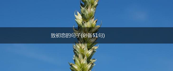 致初恋的句子(必备51句),第1张