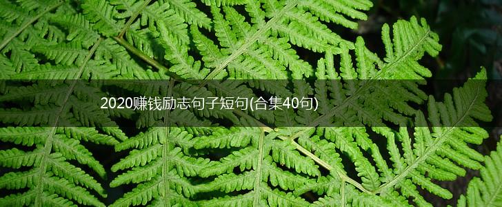 2020赚钱励志句子短句(合集40句),第1张