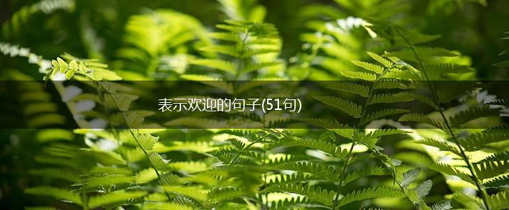 表示欢迎的句子(51句),第1张