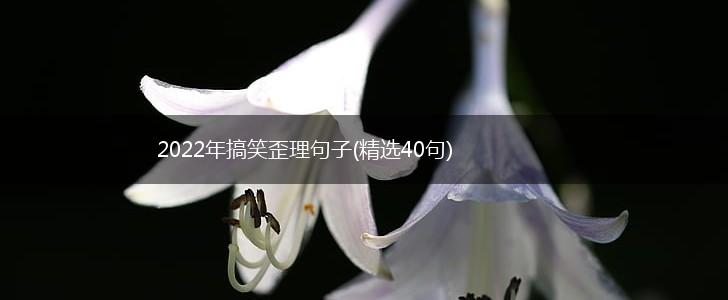 2022年搞笑歪理句子(精选40句),第1张
