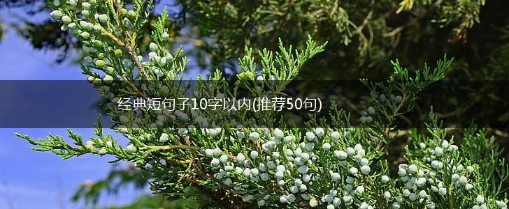 经典短句子10字以内(推荐50句),第1张