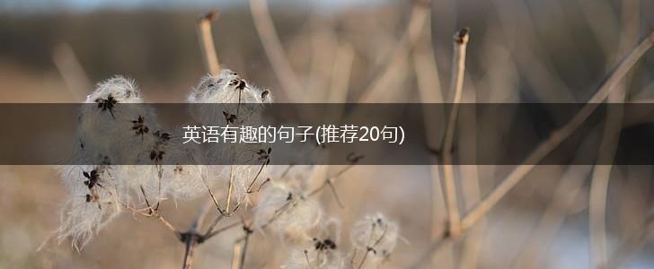 英语有趣的句子(推荐20句),第1张