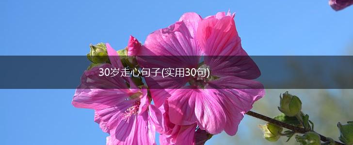 30岁走心句子(实用30句),第1张