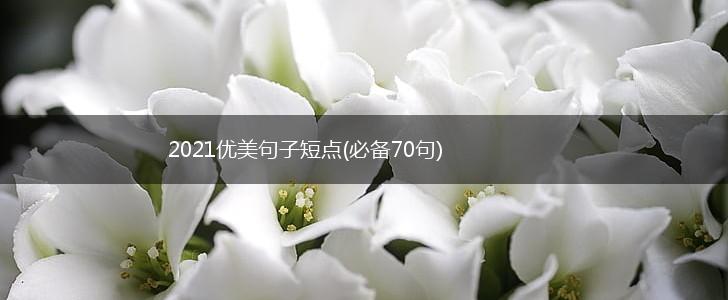 2021优美句子短点(必备70句),第1张