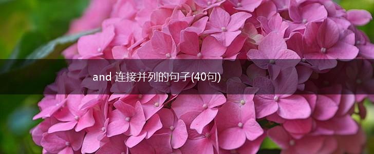 and 连接并列的句子(40句),第1张