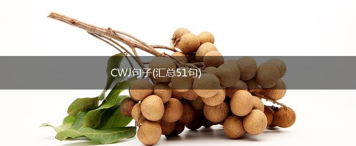 CWJ句子(汇总51句),第1张