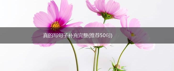 真的写句子补充完整(推荐50句),第1张