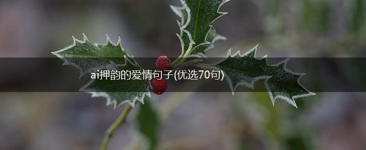 ai押韵的爱情句子(优选70句),第1张