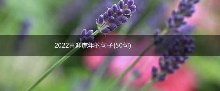 2022喜迎虎年的句子(50句),第1张