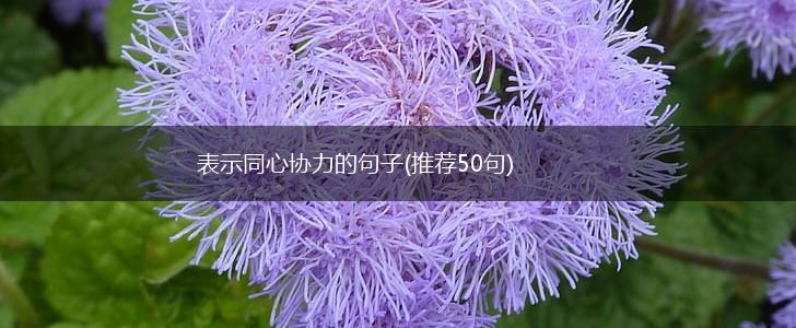 表示同心协力的句子(推荐50句),第1张