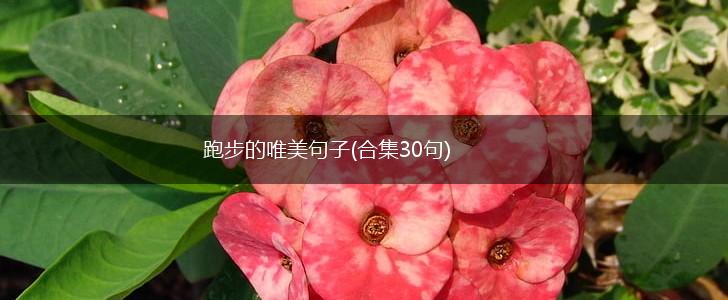 跑步的唯美句子(合集30句),第1张
