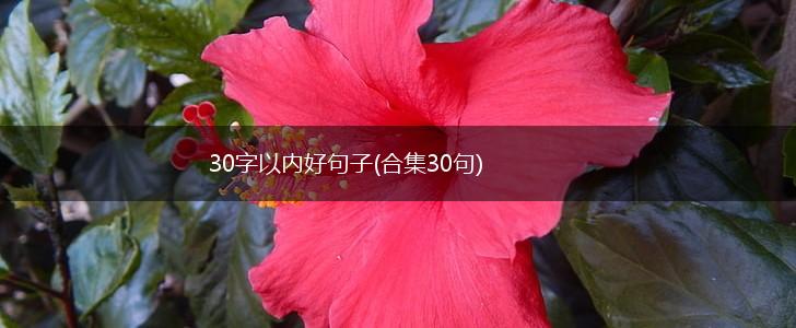 30字以内好句子(合集30句),第1张