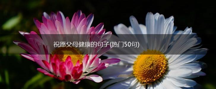 祝愿父母健康的句子(热门50句),第1张