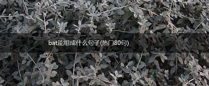 bat能组成什么句子(热门80句),第1张