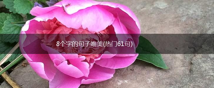 8个字的句子唯美(热门61句),第1张