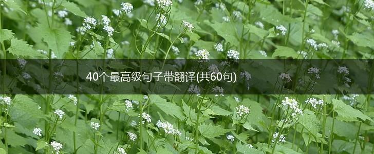 40个最高级句子带翻译(共60句),第1张
