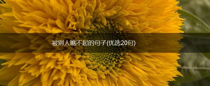 被别人瞧不起的句子(优选20句),第1张