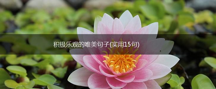 积极乐观的唯美句子(实用15句),第1张