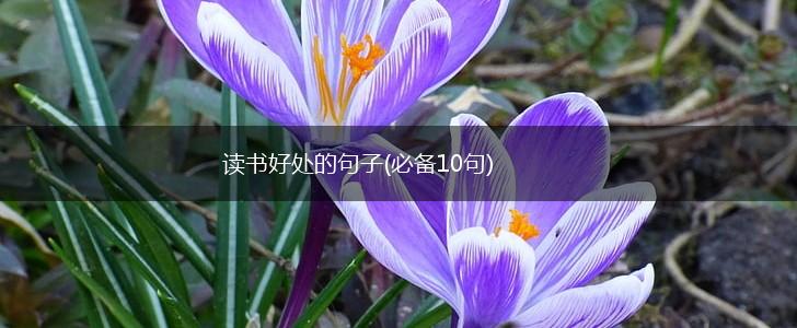 读书好处的句子(必备10句),第1张