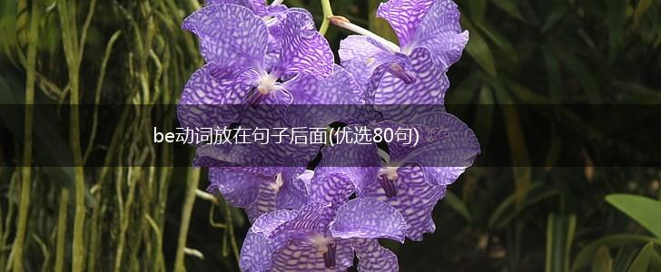 be动词放在句子后面(优选80句),第1张