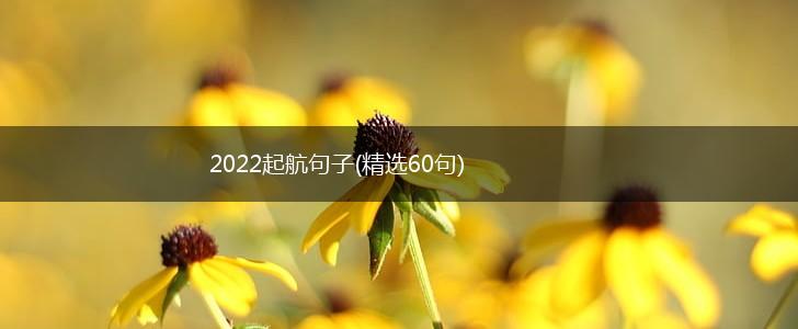 2022起航句子(精选60句),第1张