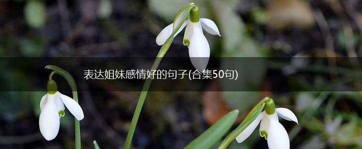 表达姐妹感情好的句子(合集50句),第1张