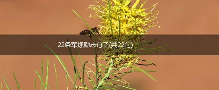 22条军规励志句子(共22句),第1张