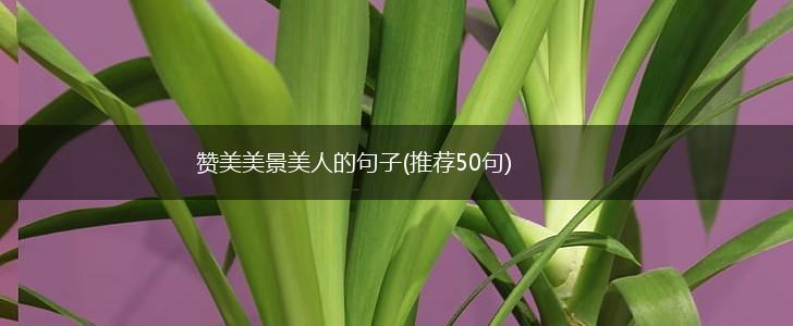 赞美美景美人的句子(推荐50句),第1张