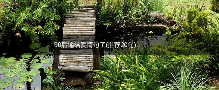 90后输给爱情句子(推荐20句),第1张