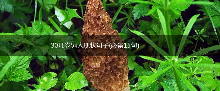 30几岁男人现状句子(必备15句),第1张