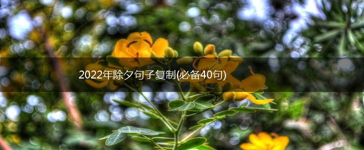 2022年除夕句子复制(必备40句),第1张