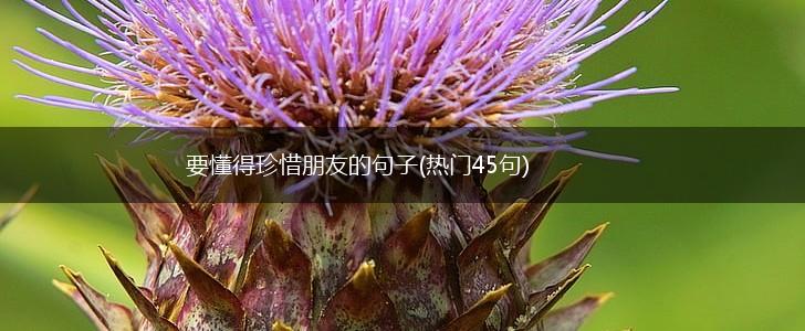 要懂得珍惜朋友的句子(热门45句),第1张
